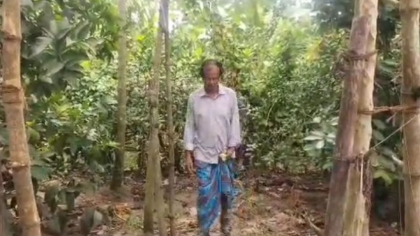 আবু তাহির সরদার বারুইপুর টিএমসি