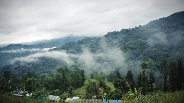 বারমেক