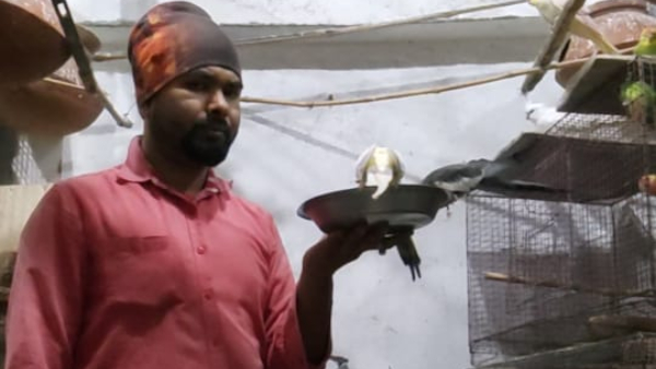 bird bird