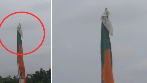 বিজেপির পতাকায় কন্ডোম! 