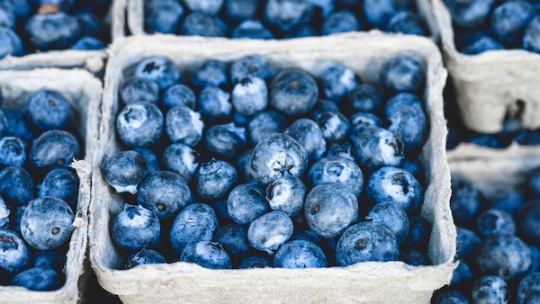 image of blue berry