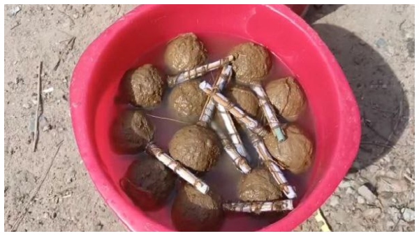 বোমা উদ্ধার