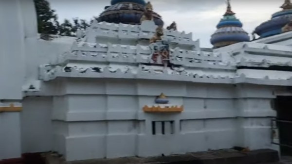  দেওঝড় ফসল