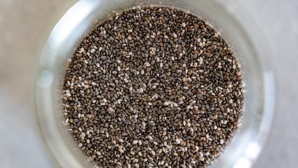 Health Benefits of Chia Seeds in Bengali
