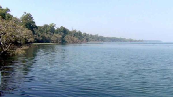 কীভাবে যাবেন