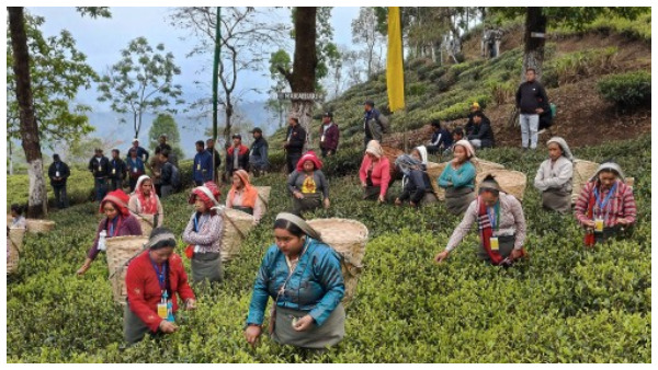 পুজোর বেড়ানো