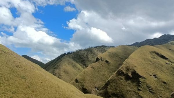 জুকু ভ্যালি