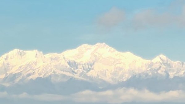  বর্ষাস্নাত জঙ্গল