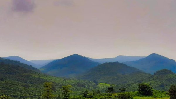 ওড়িশার উচ্চতম শৃঙ্গ ওড়িশার উচ্চতম শৃঙ্গ