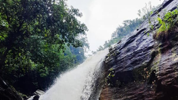 ডুডুমার ডাক ডুডুমার ডাক