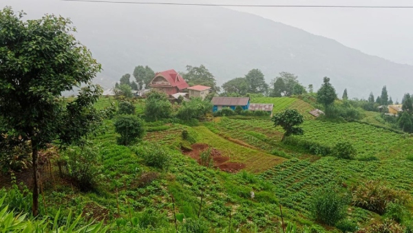 ল্যান্ড অফ ফলেন রকস
