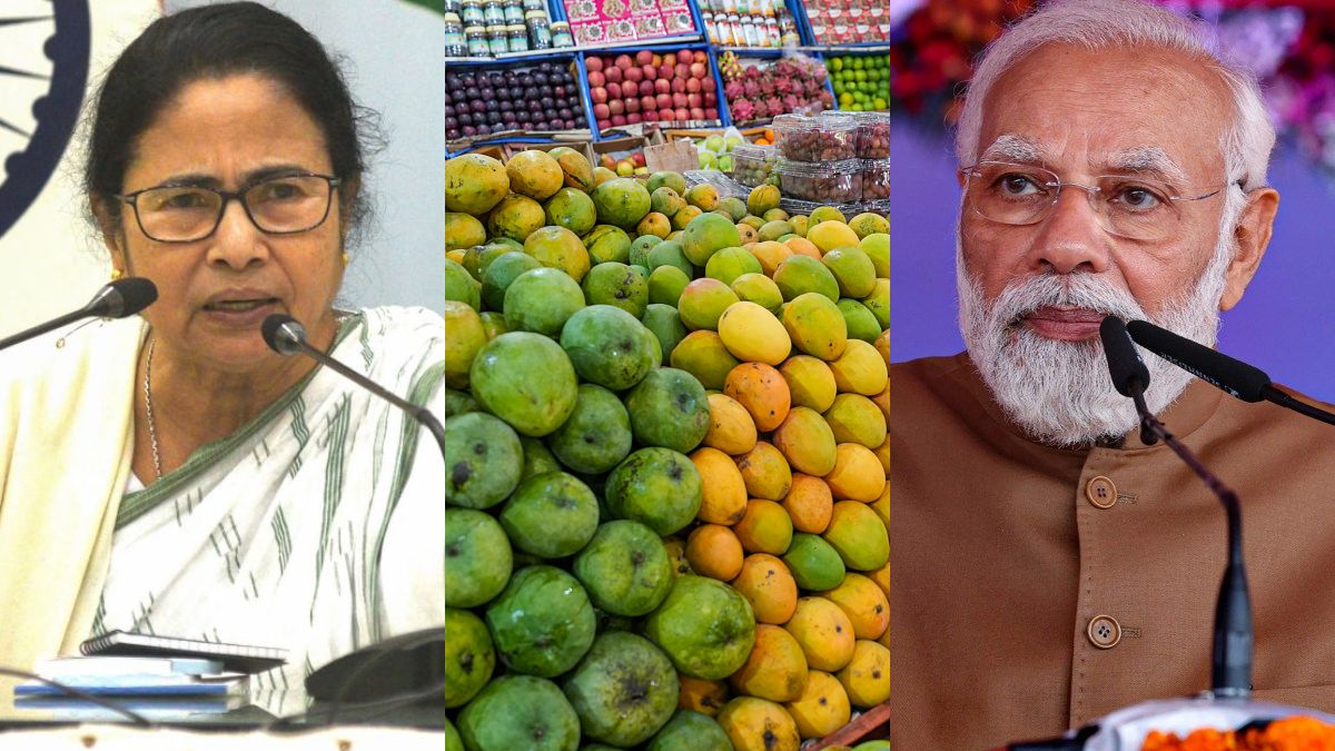Mango Politics Mango Politics