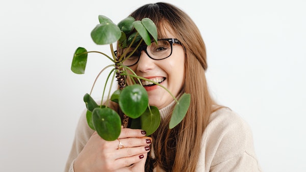 image of money plant