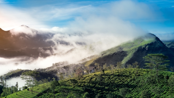 image of munnar