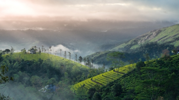 image of munnar