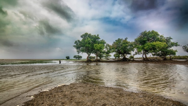 সুবর্ণরেখা নদী