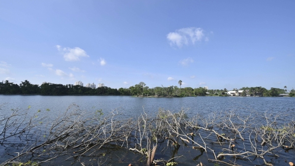 Top Romantic Places in Kolkata