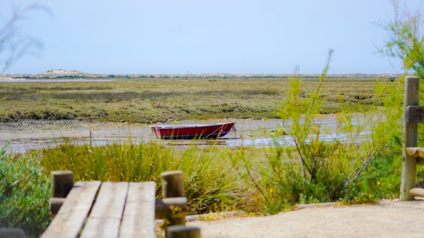 World drying up river