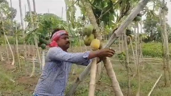 সুগন্ধা গ্রাম পঞ্চায়েত