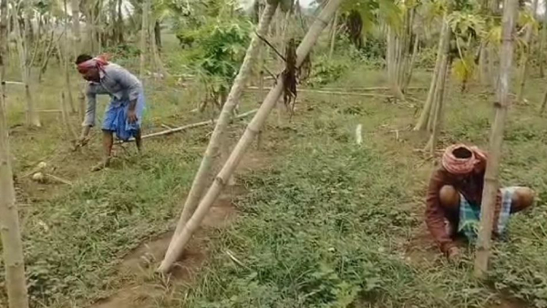 সুগন্ধা গ্রাম পঞ্চায়েত