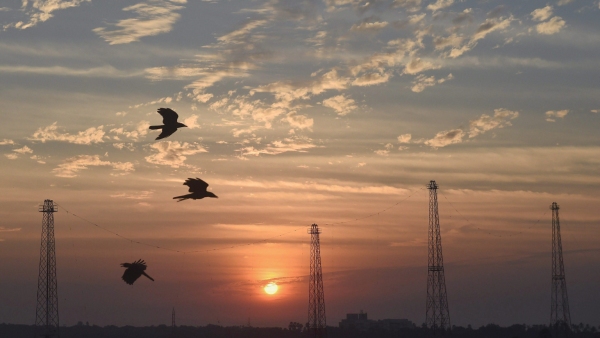  সূর্য ওঠার ছবি