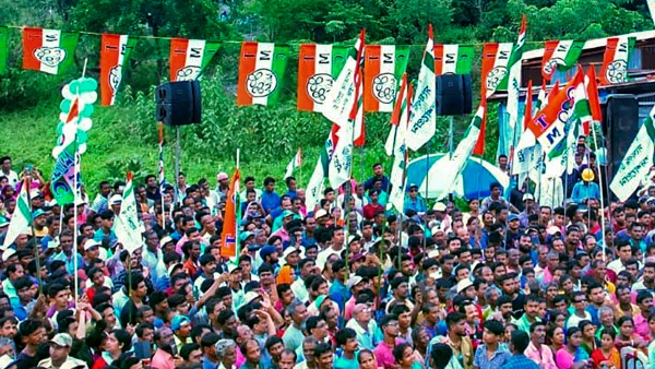 image of tmc flag image of tmc flag