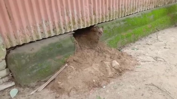 তৃণমূল প্রার্থী আক্রান্ত তৃণমূল প্রার্থী আক্রান্ত