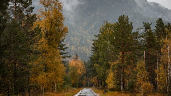 পাহাড়ি বৃষ্টি