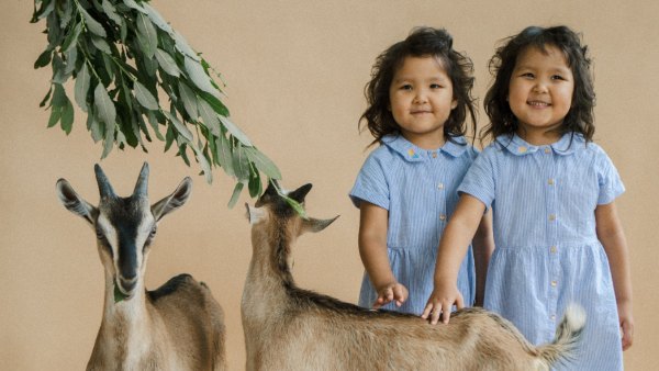 image of Twins image of Twins