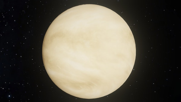 image of venus