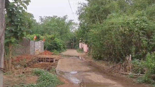 Panchayat Election