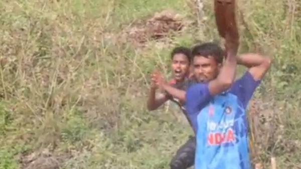 জলের মধ্যে ক্রিকেট