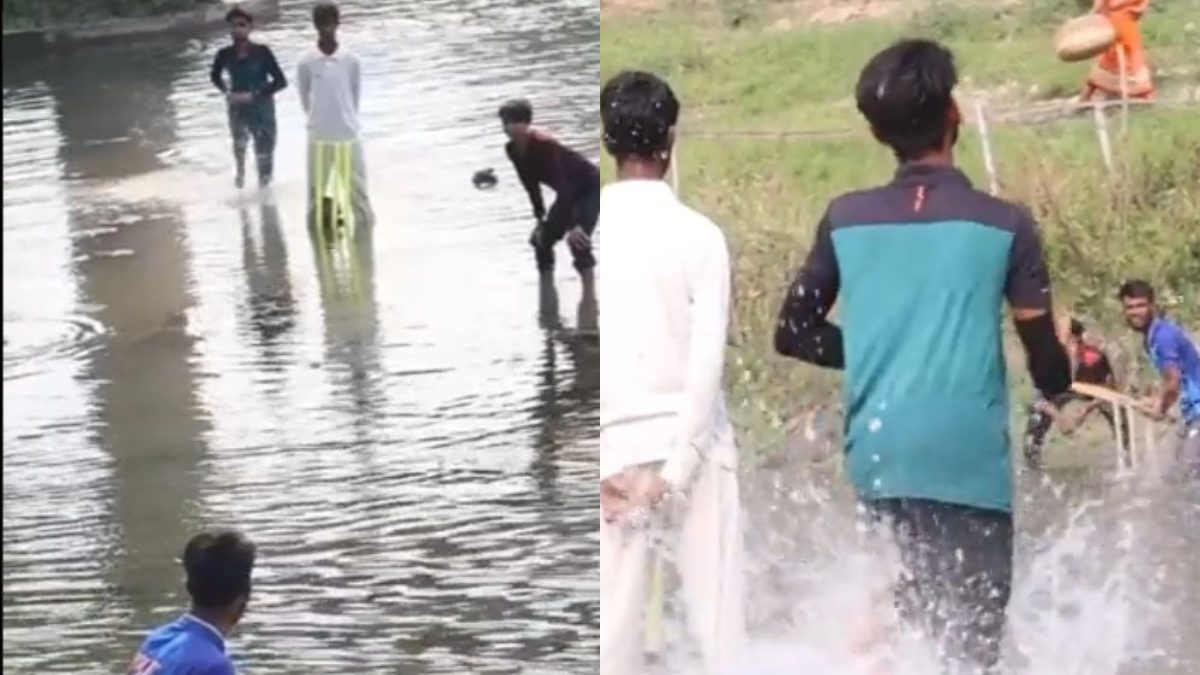 জলের মধ্যে ক্রিকেট