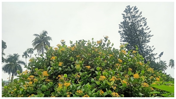 আবহাওয়া