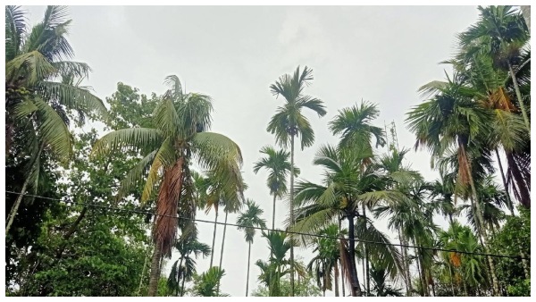 আবহাওয়া