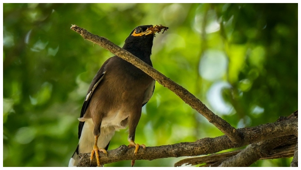 আবহাওয়া