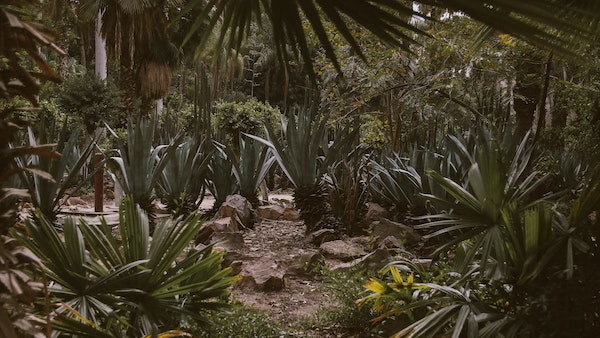 world-environment-day-20231