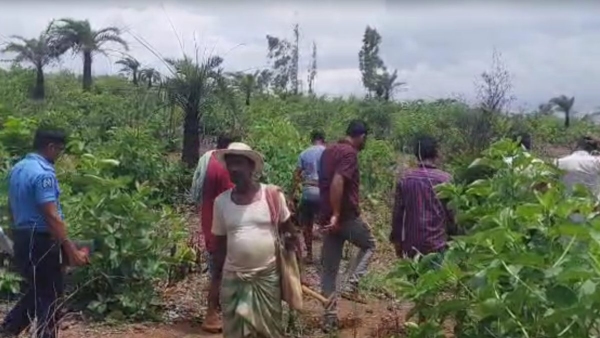 Bankura Forest Bankura Forest