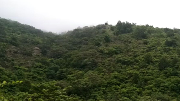 শুশুনিয়া পাহাড়ে একের পর এক বোমা ছুঁড়ল বনদফতর! শুশুনিয়া পাহাড়ে একের পর এক বোমা ছুঁড়ল বনদফতর!