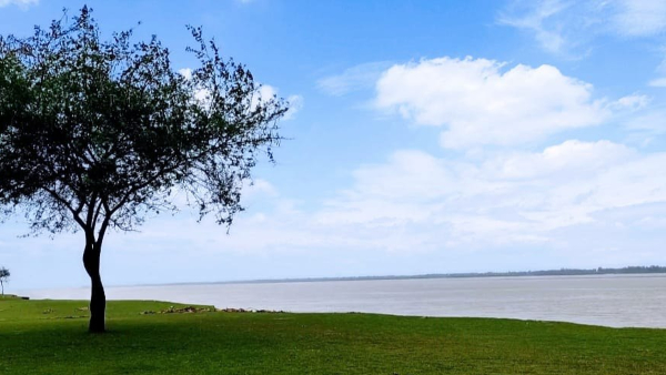 কীভাবে যাবেন কীভাবে যাবেন