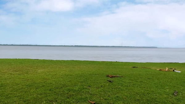মাছ ধরে চাষীরা মাছ ধরে চাষীরা