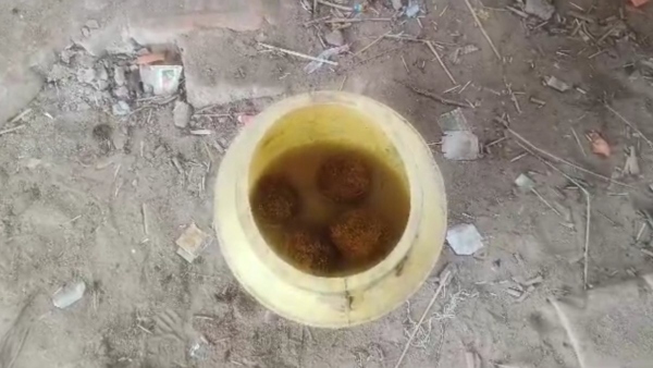 Bomb recover from Murshidabad Bomb recover from Murshidabad