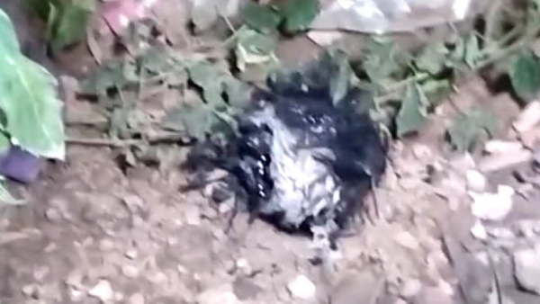 মুর্শিদাবাদে অশান্তি