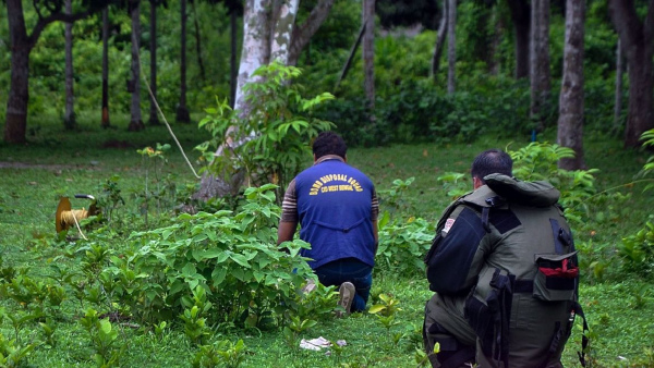 সিআইডি তদন্তের নির্দেশ! সিবিআই চাইলেন নওশাদ 