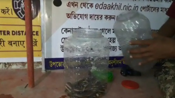 Snake Found at Jalpaiguri School Snake Found at Jalpaiguri School
