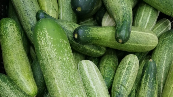 Cucumbers Skin Benefits