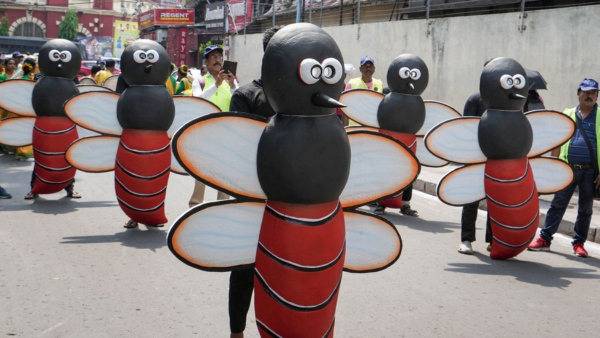 ডেঙ্গুতে রাজ্যের মৃতের সংখ্যা বেড়ে আট 