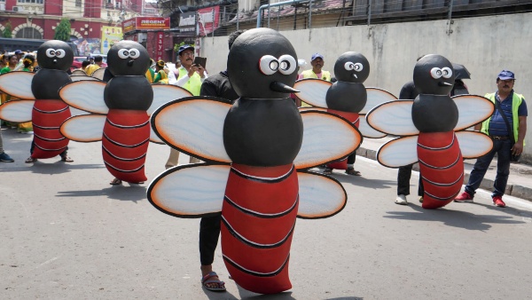 ডেঙ্গি বৃ্দ্ধির কারণ বিশ্ব উষ্ণায়ন, সতর্ক করল হু 