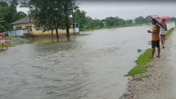 Dooars Rain Dooars Rain