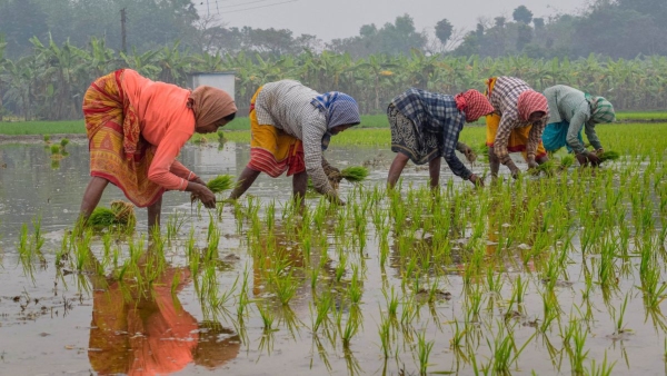 PM Kisan PM Kisan